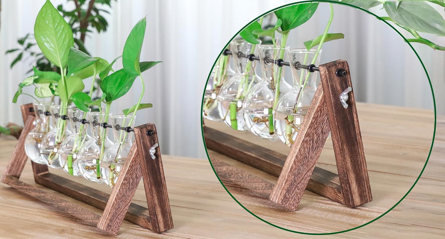 Ivolador – Estación de propagación de escritorio, terrario de plantas con soporte retro de madera maciza y soporte giratorio de metal para plantas