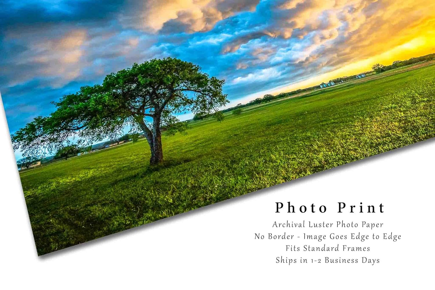 Sky Photography Print (Not Framed) Picture of Colorful Storm Clouds Over Lone Tree at Sunset on Stormy Evening in Texas Country Wall Art Nature