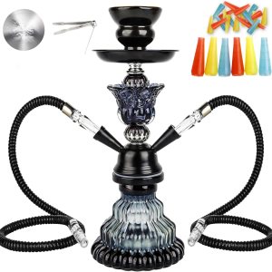 Juego de 2 mangueras de cachimba  Juego de cachimba pequeño de 11 pulgadas con jarrón de vidrio, cuenco de cerámica, manguera de cuero, pinzas de Juego de 2 mangueras de cachimba  Juego de cachimba pequeño de 11 pulgadas con jarrón de vidrio, cuenco de cerámica, manguera de cuero, pinzas de