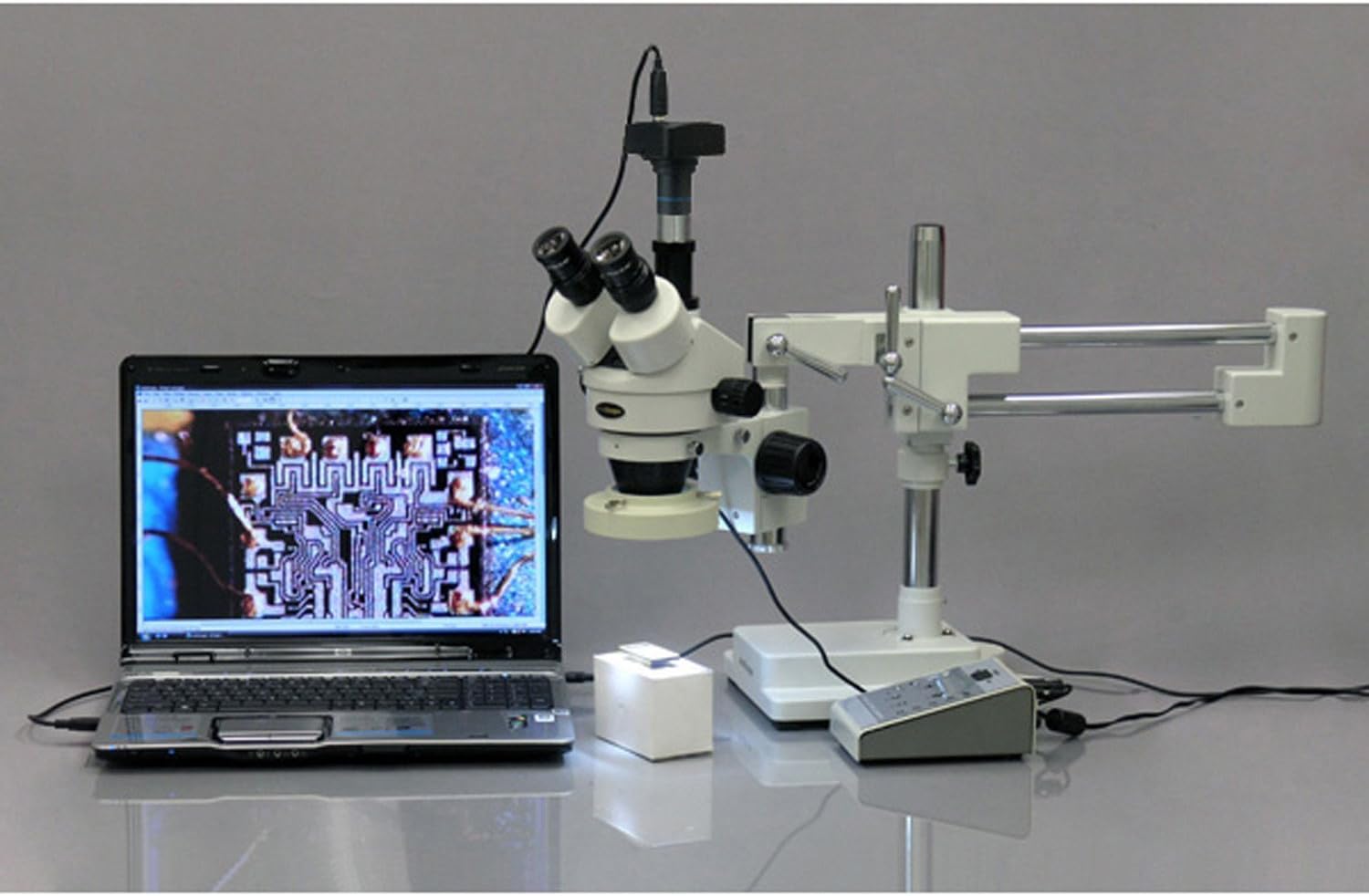 AmScope Cámara de microscopio USB 2.0 de 1.3 MP con lente de reducción + software + 2 adaptadores de montaje (Windows XPVista7810Mac OS XLinux)