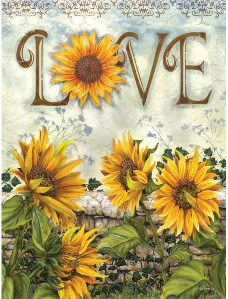 ArtDirect Love 15×18 Gallery Wrapped Canvas Museum Art by Wargo, Ed