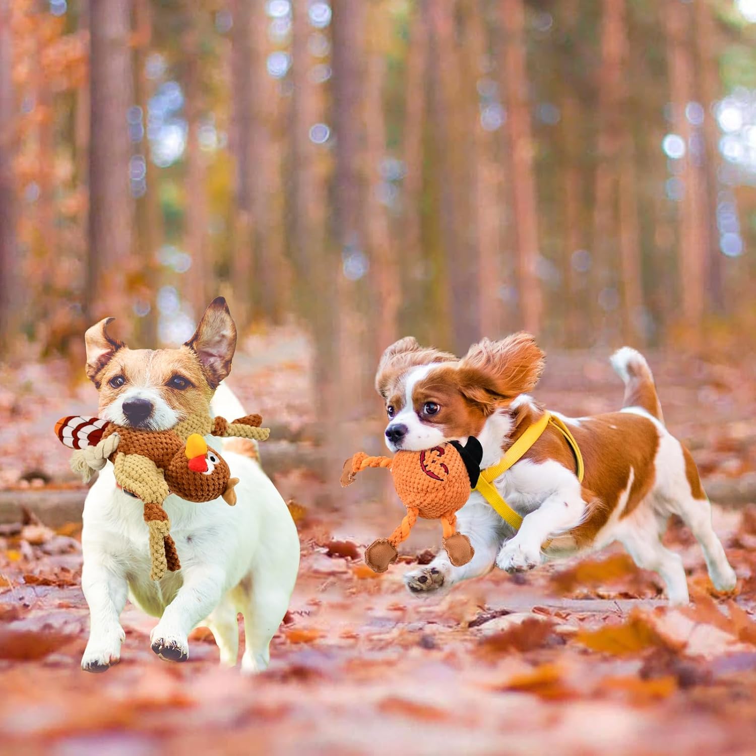 Vehomy Juguetes de Halloween para perros, juguetes chirriantes para perros de Acción de Gracias, calabaza, Acción de Gracias, pavo, juguete