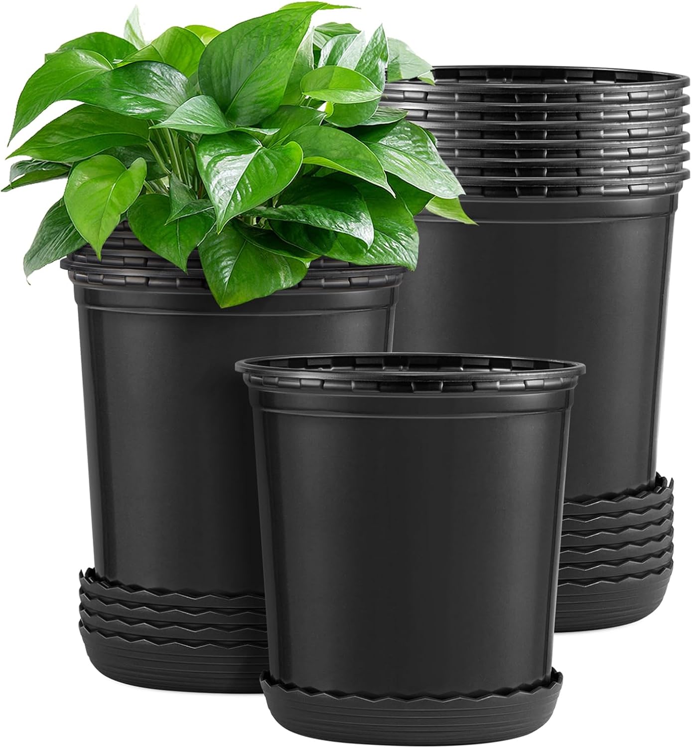 GROWNEER Juego de 12 macetas flexibles de 6 pulgadas de 1 galón para plantas, macetas con orificio de drenaje y platillo, contenedor para plantas de