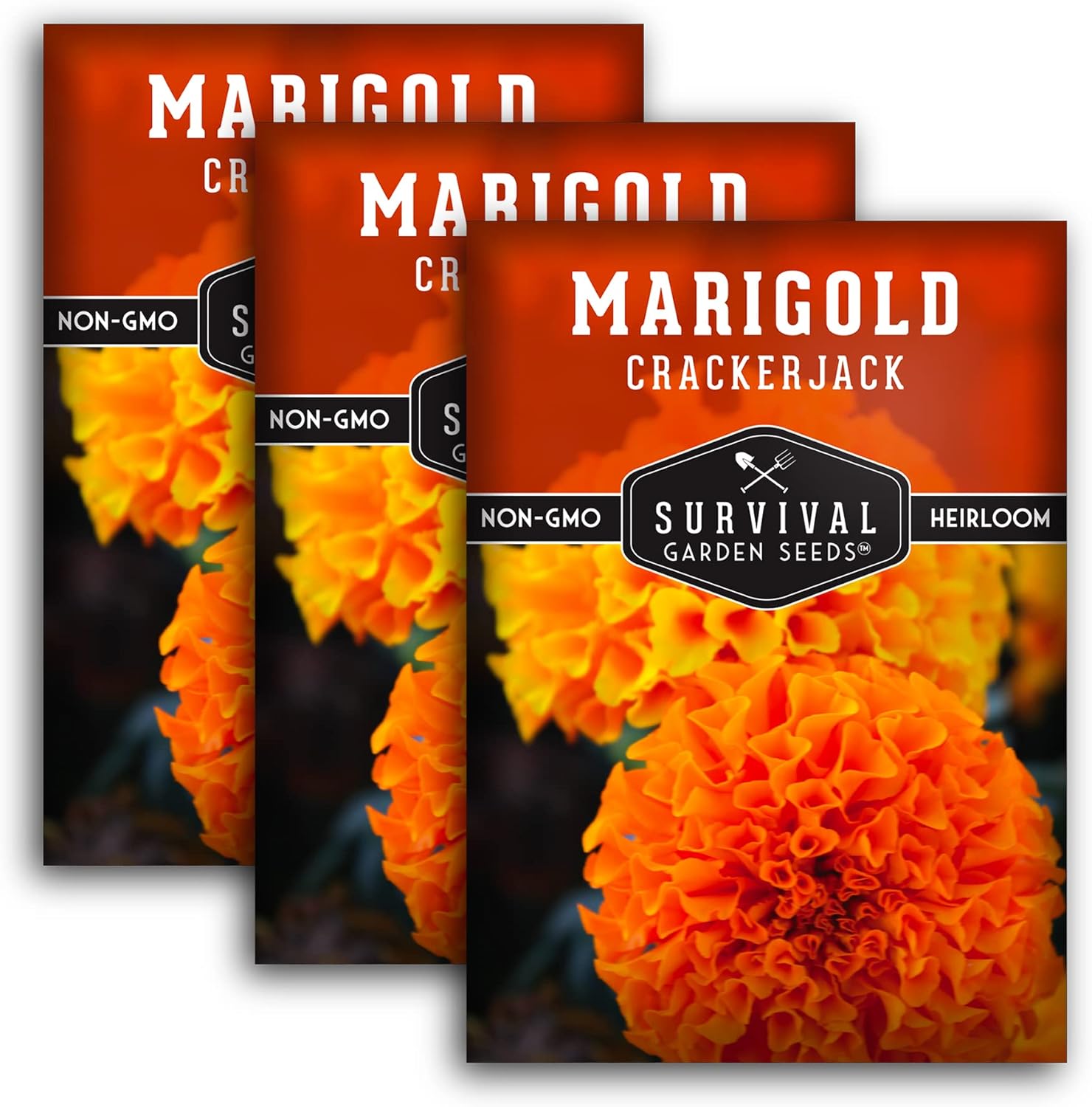 Survival Garden Seeds – Semilla de caléndula Crackerjack para plantar – 3 paquetes con instrucciones para plantar y cultivar en tu huerto casero –