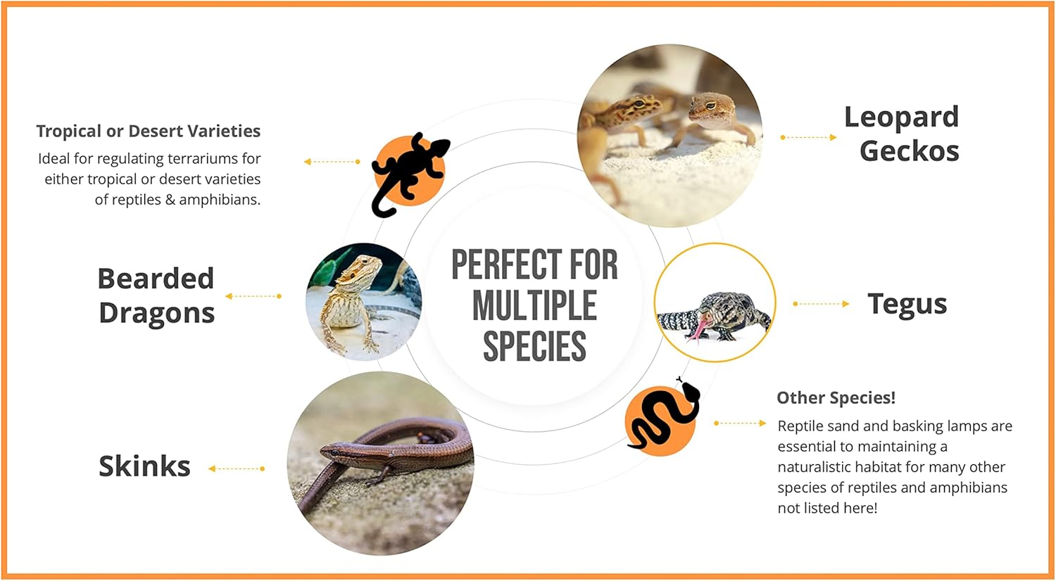 Arena de reptil de calor del desierto, perfecta tanto para un uso de arena de hámster como de arena de reptil. Diseñado para múltiples especies,