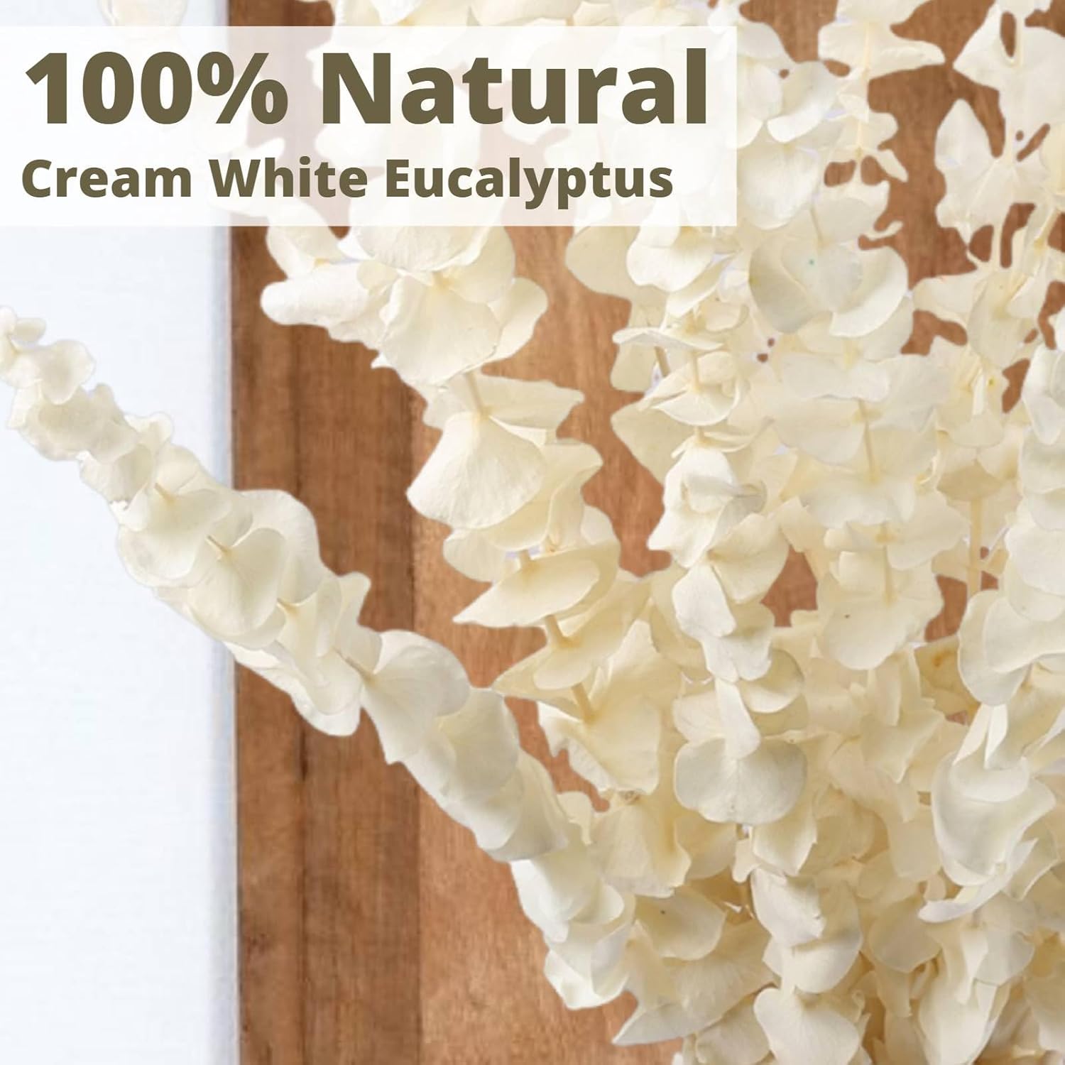 Paquete de 16 piezas de tallo de eucalipto seco blanqueado, 100% ramas de eucalipto naturales color blanco crema conservadas, hojas de eucalipto