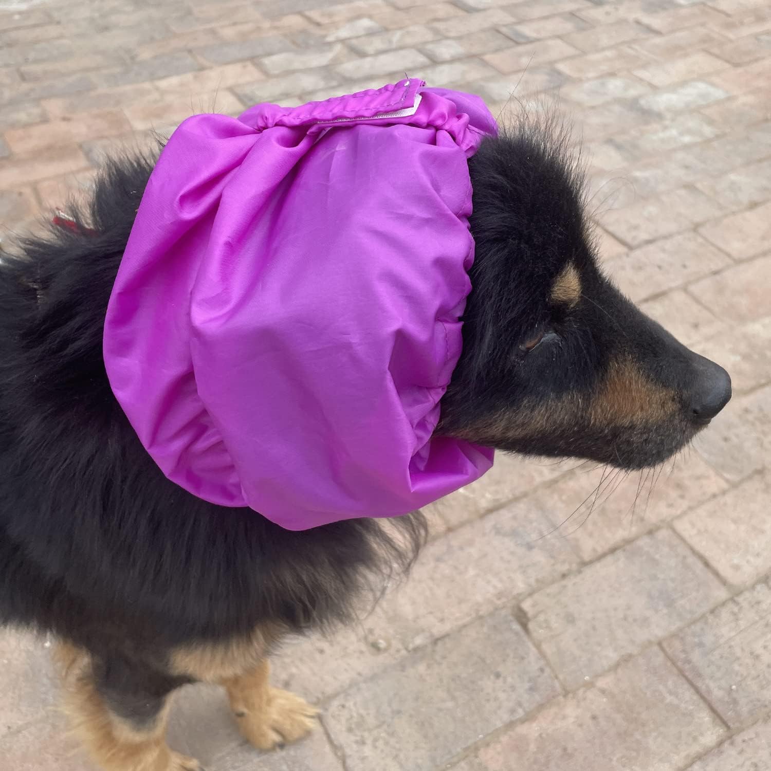 Paquete de 2 gorras de baño para perros, impermeables, gorras de ducha para perros, redecilla para lavar, lluvia, natación, perros, protección para
