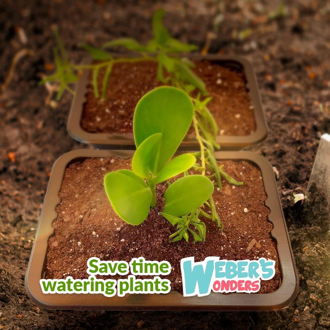 Weber’s Wonders Paquete de 10 bandejas de cultivo de plantas, sin agujeros de drenaje, bandejas perfectas para semillas de jardín, bandejas de