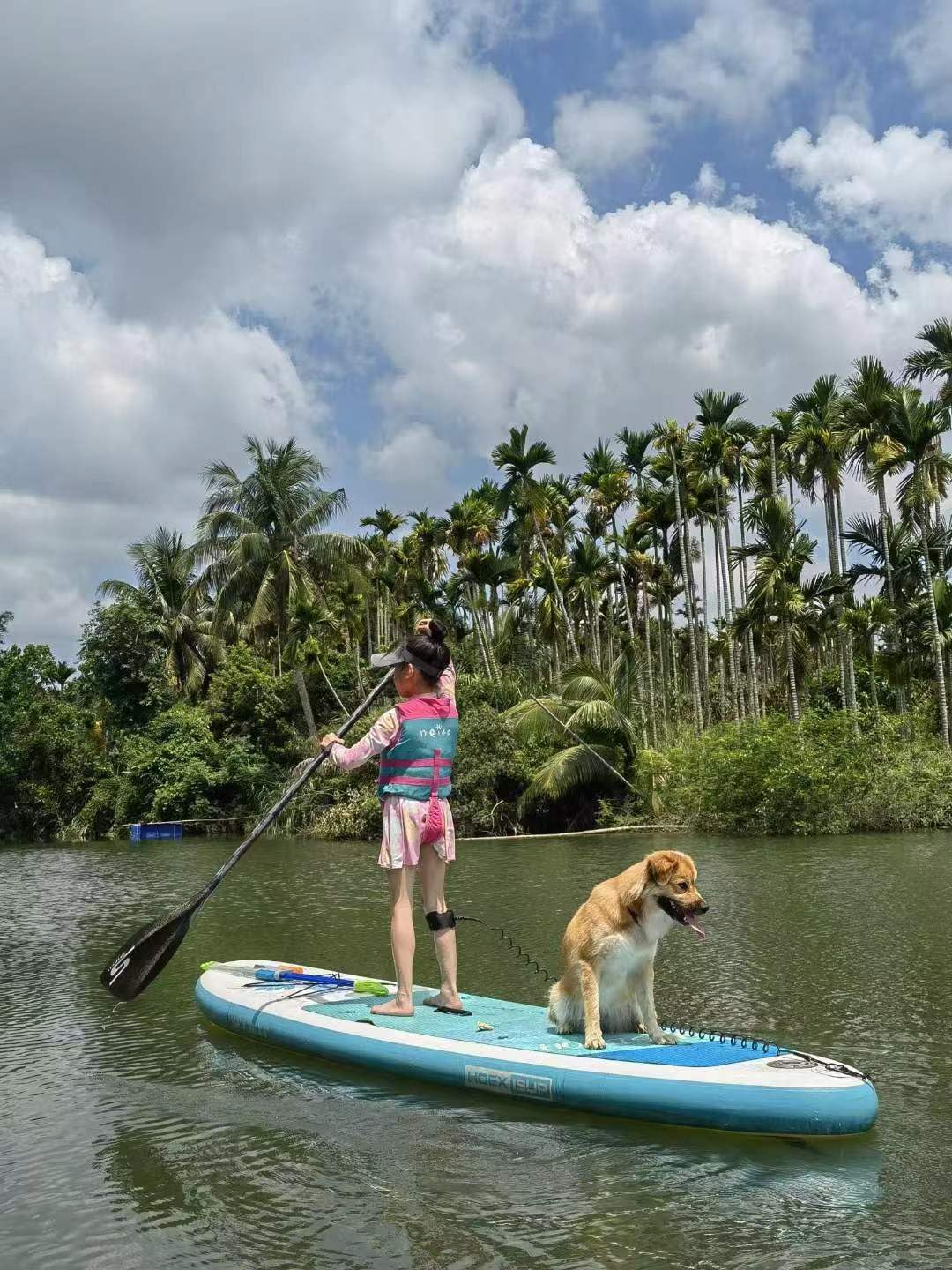 Tabla de remo inflable de pie, tablas de remo de 10 pies para adultos con accesorios y mochila de SUP de primera calidad, diseño amplio y estable,