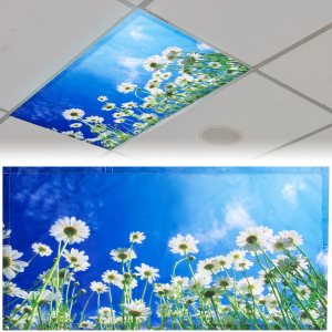 Patelai Cubierta de luz fluorescente de 4 x 2 pies para luces de techo, cubierta de luz magnética con 10 imanes, filtros de luz fluorescente para Patelai Cubierta de luz fluorescente de 4 x 2 pies para luces de techo, cubierta de luz magnética con 10 imanes, filtros de luz fluorescente para