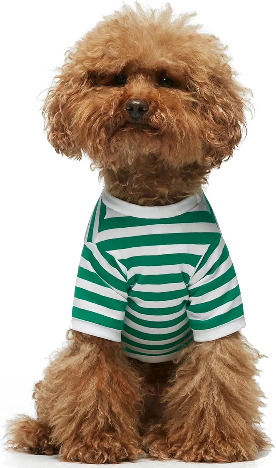 Camiseta a rayas para perro, ropa de moda para mascotas, camisetas de algodón, chalecos elásticos, suaves y frescas para cachorros y gatitos