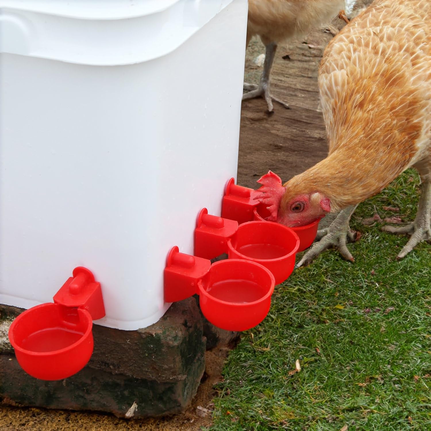 Alimentador automático para pollos sin desperdicios, alimentador automático para aves de corral, juego de comederos y bebederos de pollo para