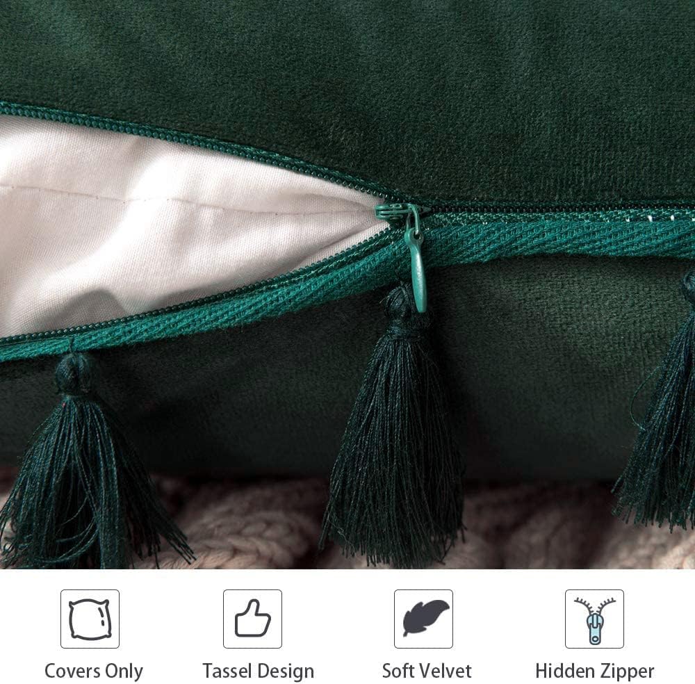 MIULEE – Paquete de 2 fundas de cojín decorativas lisas, de terciopelo suave con borlas y flecos, decoración bohemia para sillón, cama, sofá, de