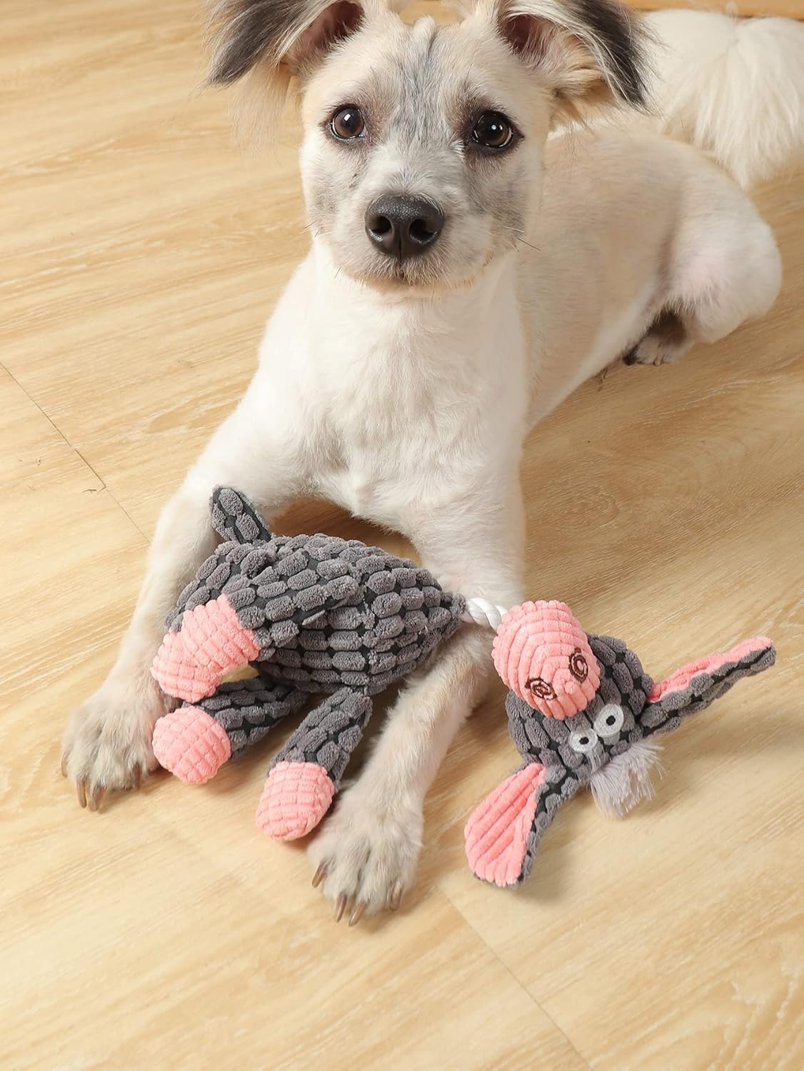 QWINEE Juguete de peluche para perros, animales de dibujos animados, juguete para masticar, juguetes chirriantes para gatos, cachorros, perros