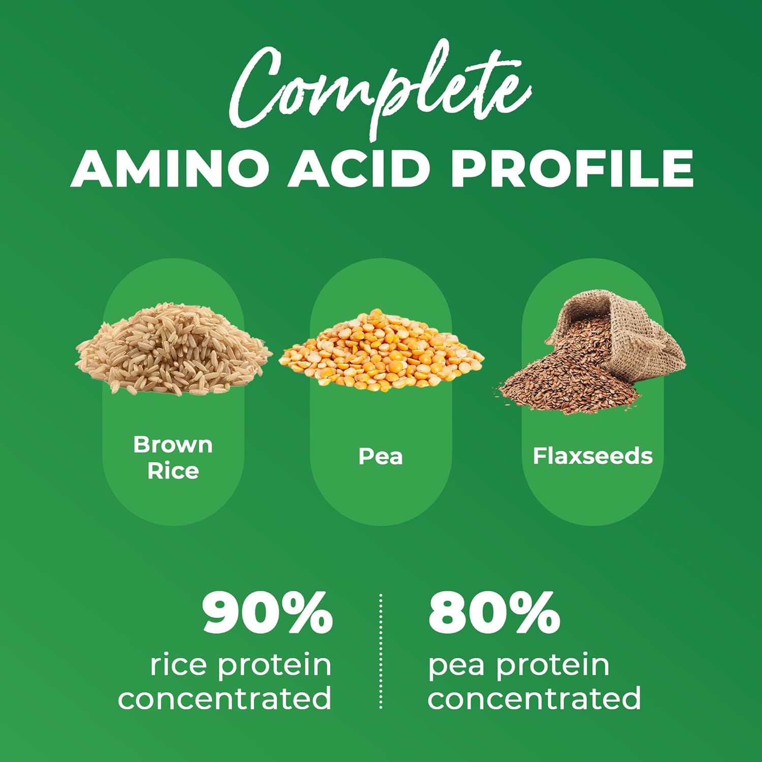 GoldenSource Proteins, proteína orgánica a base de plantas, matcha, 1 libra, 18 porciones, 22 vitaminas y minerales, perfil completo de aminoácidos,