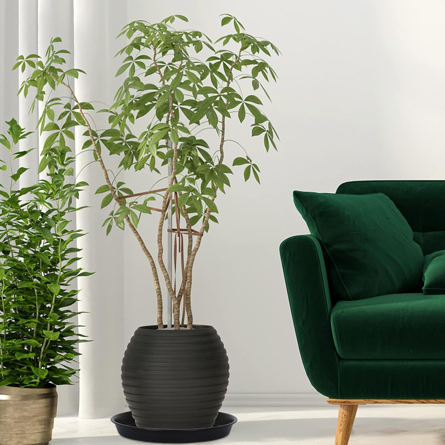 Paquete de 8 platillos de plástico para plantas de 10 pulgadas, 12 pulgadas, 14 pulgadas, 15 pulgadas, bandejas de goteo para plantas de interior y