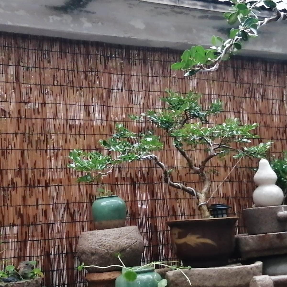 Persianas enrollables de bambú para dormitorio, cortinas enrollables de bambú para interiores, ventana semi opaca, cortina de bambú de oficina