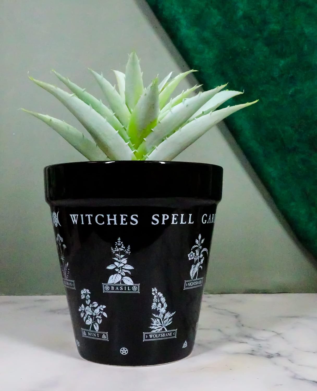 Ebros Gift Wicca Witchcraft – Maceta gótica de cerámica negra mágica, maceta floral de alquimia oculta, maceta de alquimia, pulgar, verde,