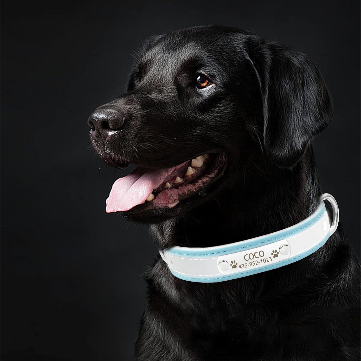 Juego de collar y correa reflectante personalizado para perro, collar de perro de cuero personalizado con placa de nombre, collares de perro
