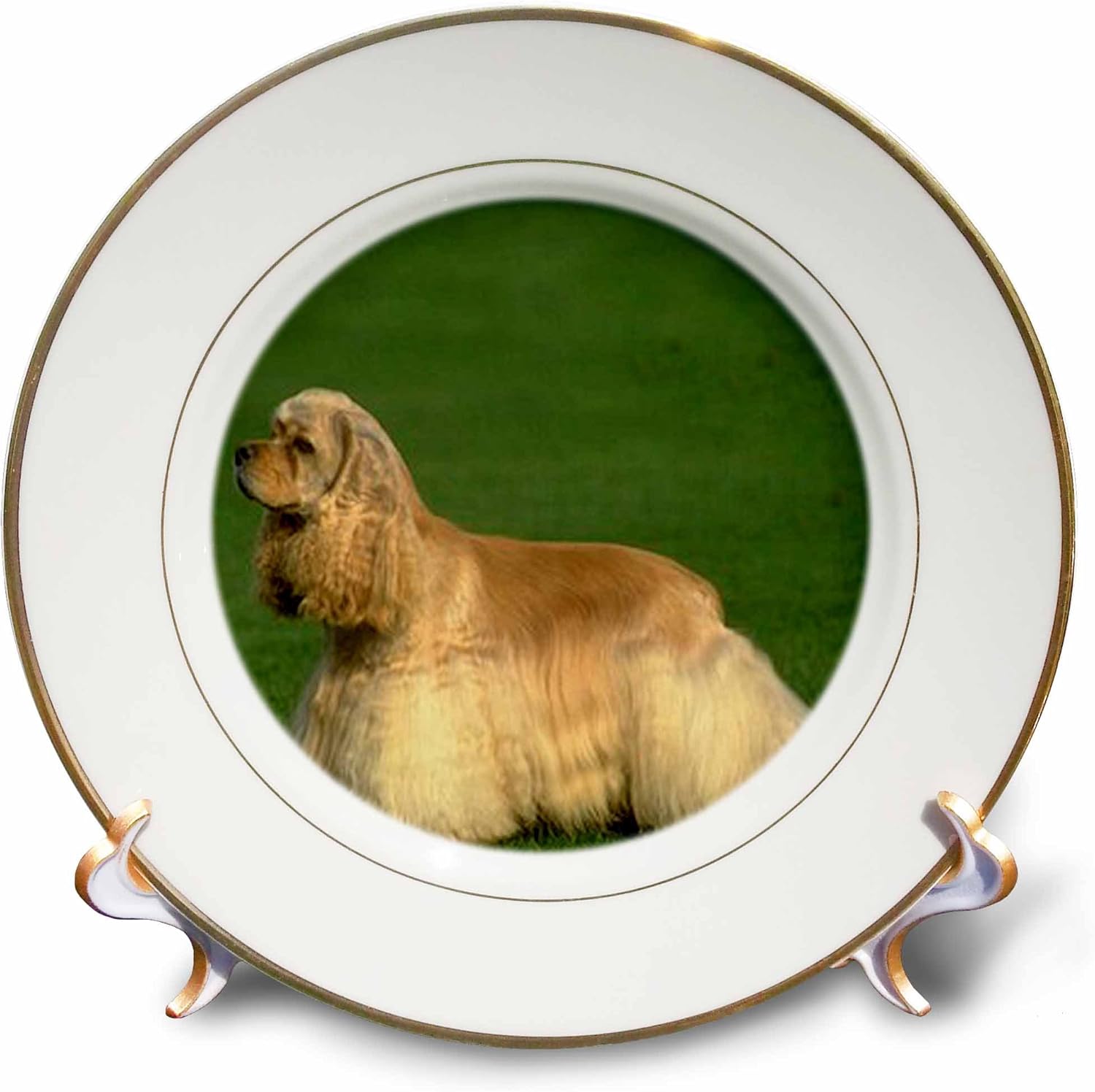 3dRose Cocker Spaniel – Porcelain Plate, 8-inch , 8 inch, White