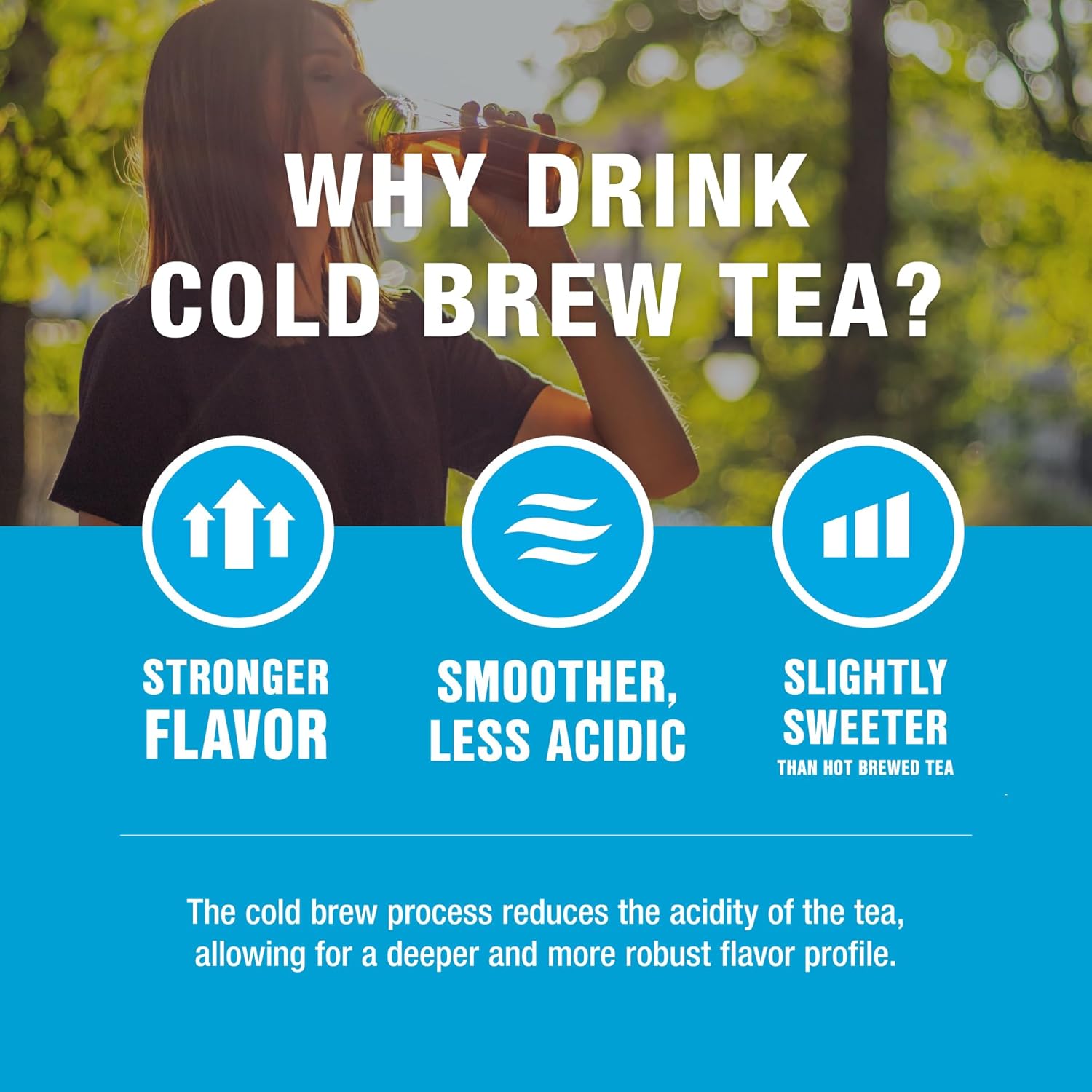 Tiesta Tea – Palm Beach Punch Cold Brew Tea  Té de hierbas Fruit Punch  Mezclas de té helado de hojas sueltas de primera calidad  Té helado sin