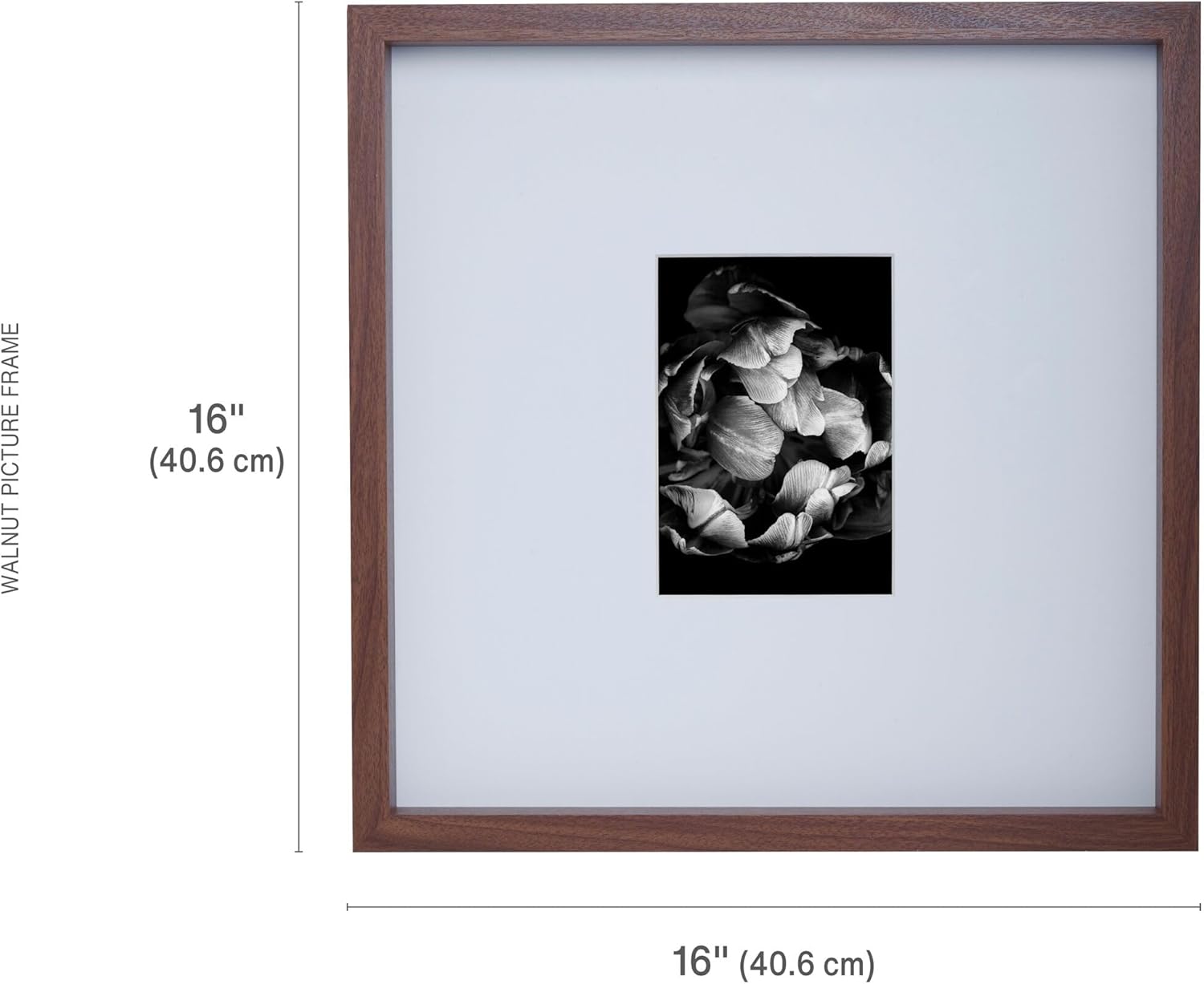 Mikasa Wood Gallery – Marco de pared de 15 x 15 pulgadas, mate a 5 x 7, 16 x 1.57 x 16 pulgadas, nogal