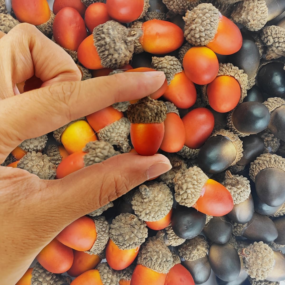 TIHOOD 160 bellotas artificiales a granel, pequeñas bellotas falsas de simulación realista con tapa natural para manualidades, boda, decoración de