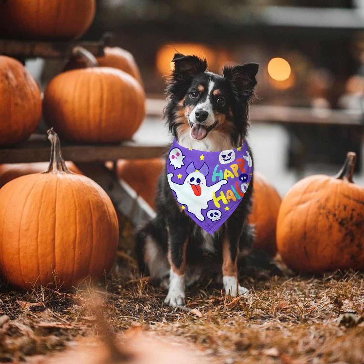 Bandanas para perros de Halloween, paquete de 2 bandanas con temática de “Happy Halloween” y “Trick or Treat”, de tela duradera, adecuadas para