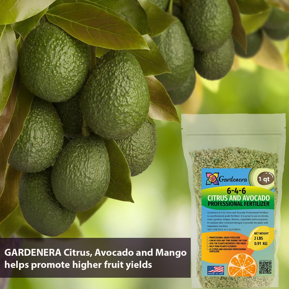6-4-6 Fertilizante de cítricos y aguacate – Desbloquea todo el potencial de tus árboles de cítricos y aguacate – 20 cuartos de galón