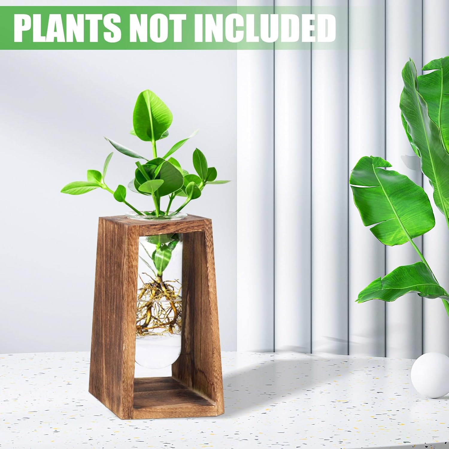 Jarrón de tubo de ensayo de vidrio transparente para terrario de plantas, con soporte de madera maciza retro de rombo, estación de propagación de