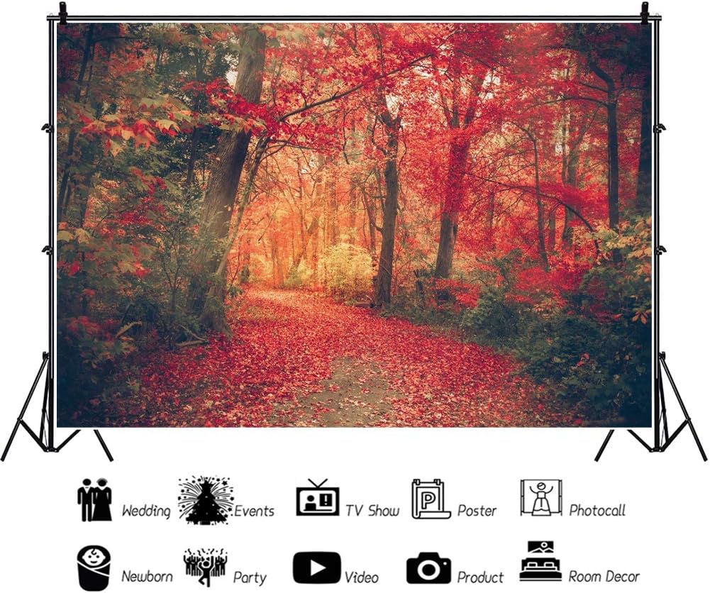 OERJU Telón de fondo de bosque de arce otoñal de 7 x 5 pies, otoño, puesta de sol, bosque, camino, hojas rojas, camino, paisaje natural, fotografía,