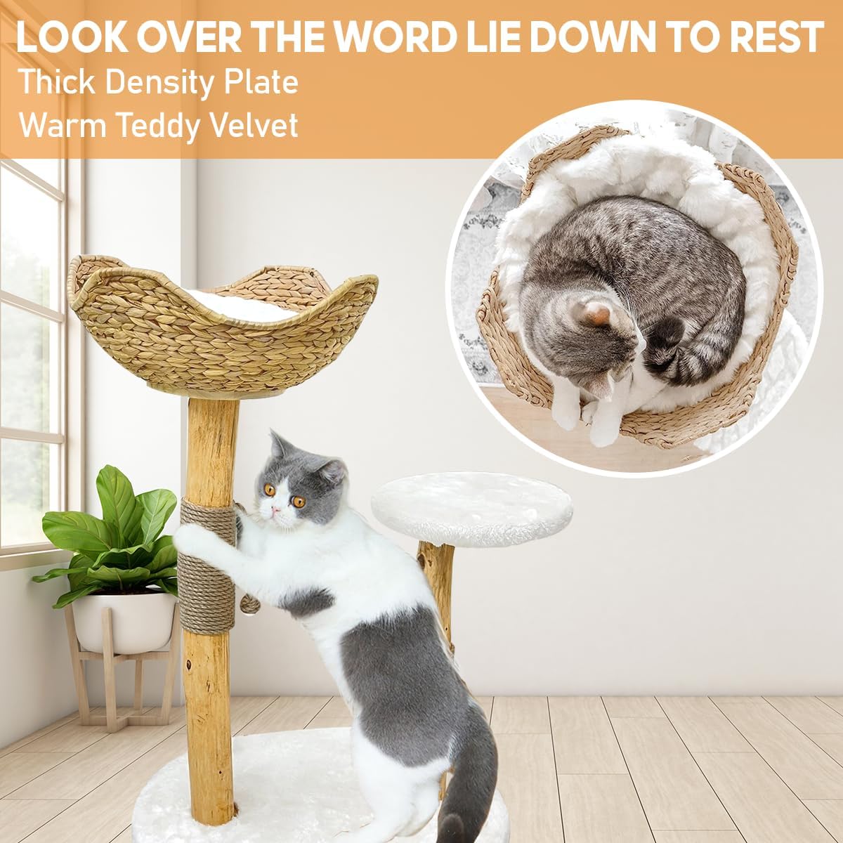 Árbol para gatos y juguetes para gatos, torre moderna de árbol para gatos de interior, torre de madera de rama real, poste rascador para gatos,