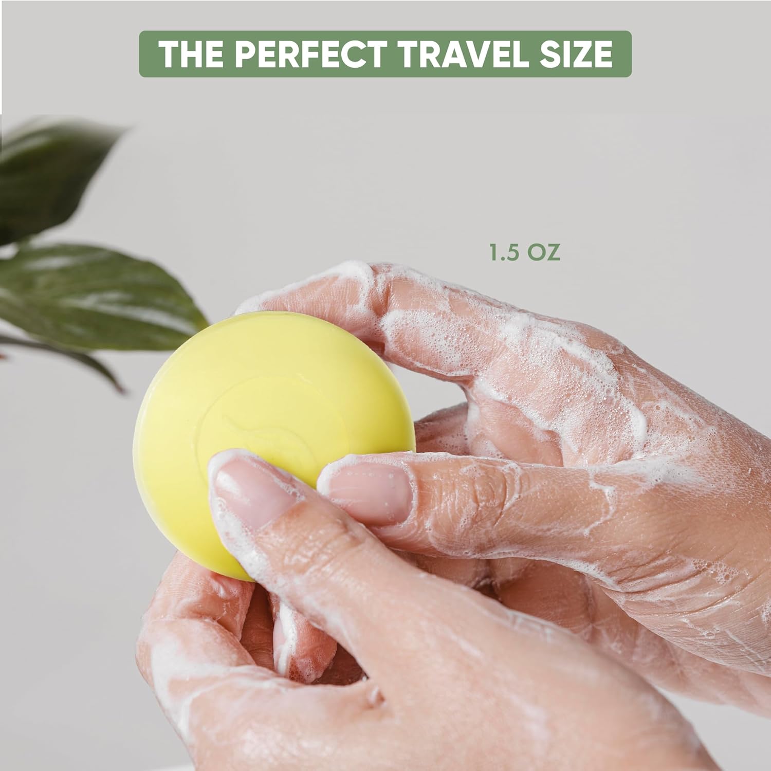 Terra Pure Jabón en barra, comodidades de hotel tamaño viaje, 1.5 oz (paquete de 250)
