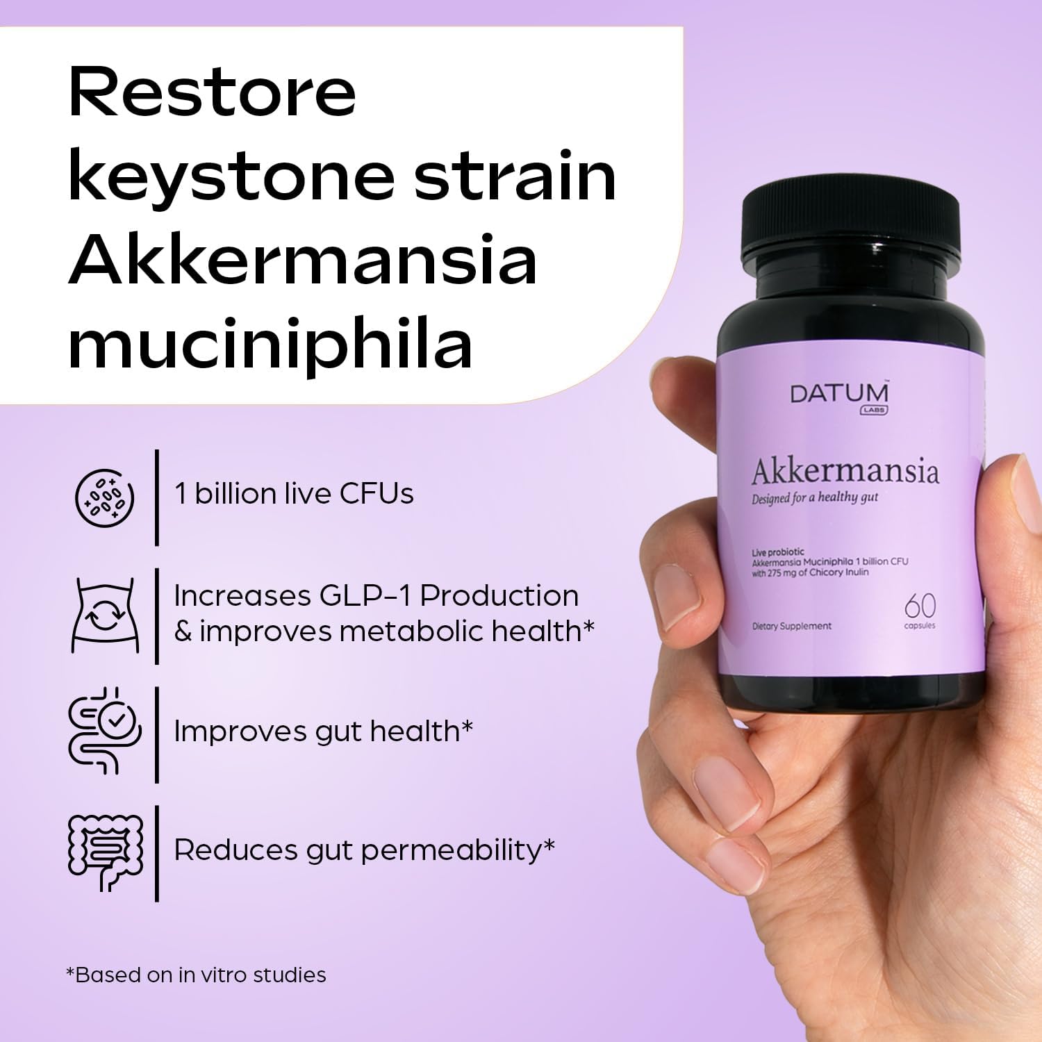 Akkermansia Muciniphila Probiotic + Prebiotic Metabolism Supplement – 2-Mth Shelf Stable Synbiotic 1Bn CFU – 60 DR Acid-Resistant Capsules