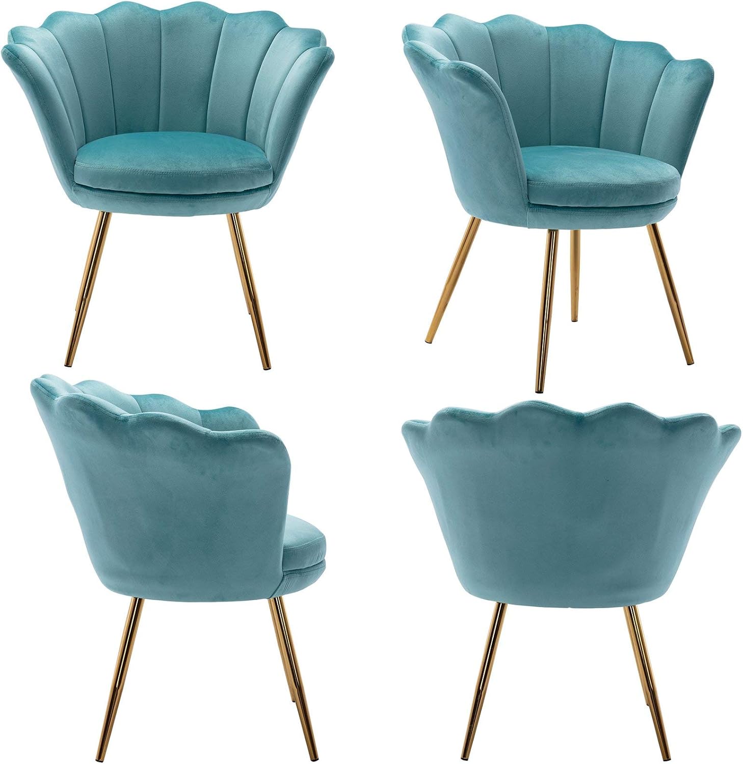 Wahson Silla tapizada de terciopelo para sala de estar, silla de tocador de barril con respaldo de conchas y patas doradas, silla de comedor retro