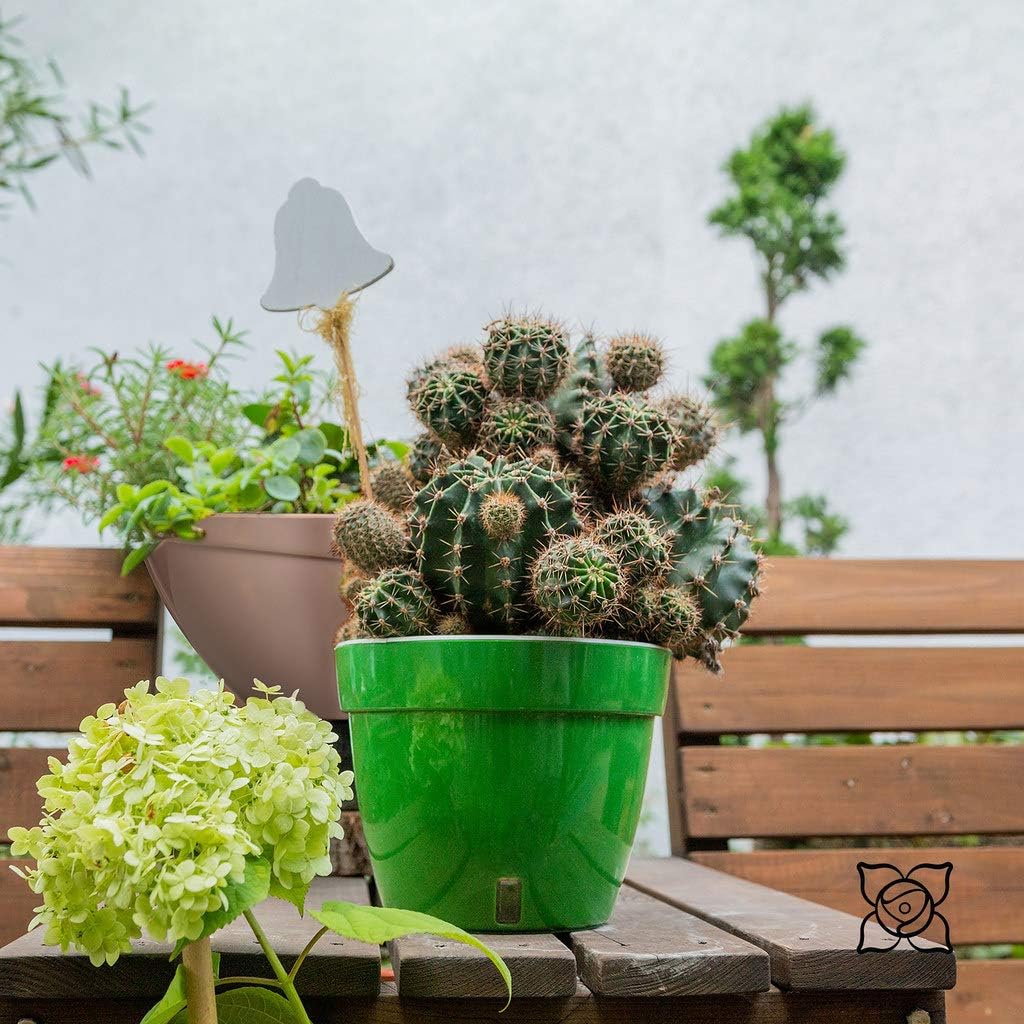 ASTI – Maceta de riego automático, maceta moderna con indicador de nivel de agua para todas las plantas de la casa, flores, hierbas, suculentas y