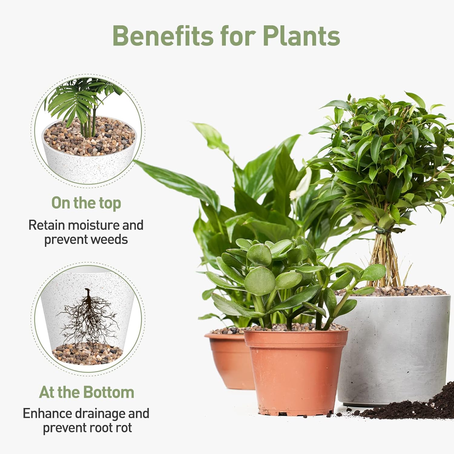 GASPRO Grava de guisantes para acuario, pecera, 5 libras, arena natural de guijarros de 15 pulgadas para plantas, suculentas, cactus, textura mate,