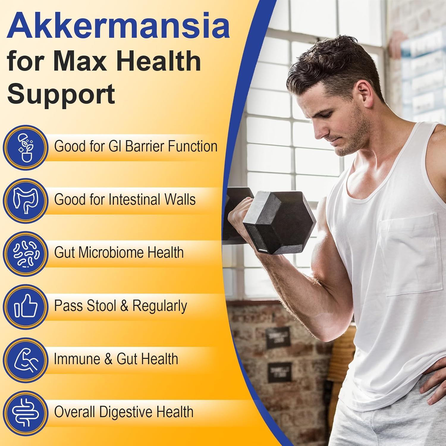 300 mil millones de AFU Akkermansia Muciniphila – Probióticos Akkermansia vivos para mujeres y hombres, para GLP-1, digestivo, intestino, inmune y