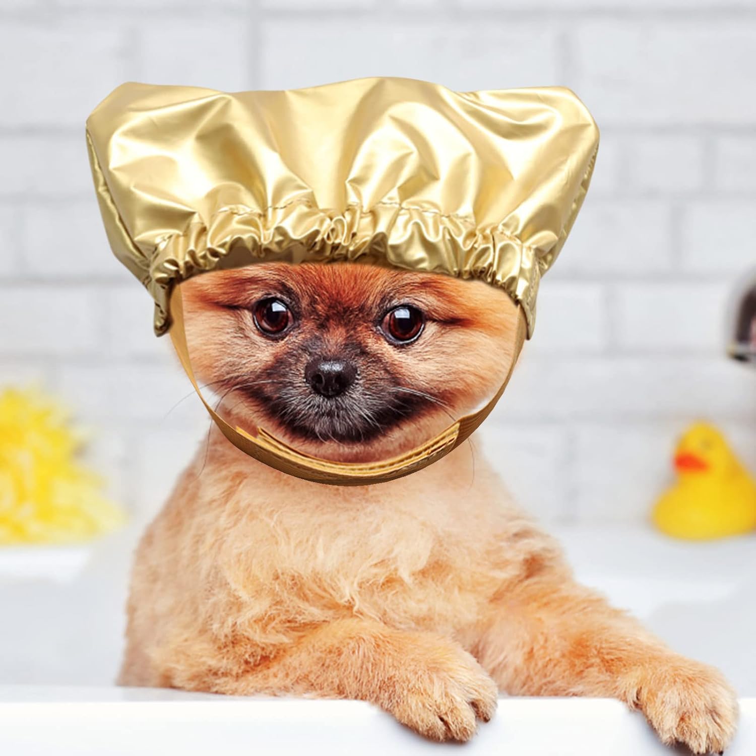 Gorros grandes para perros, ducha fija para perros, ducha para perros, gorra S para mascotas, ducha de mascotas, gorra para mascotas con tapa