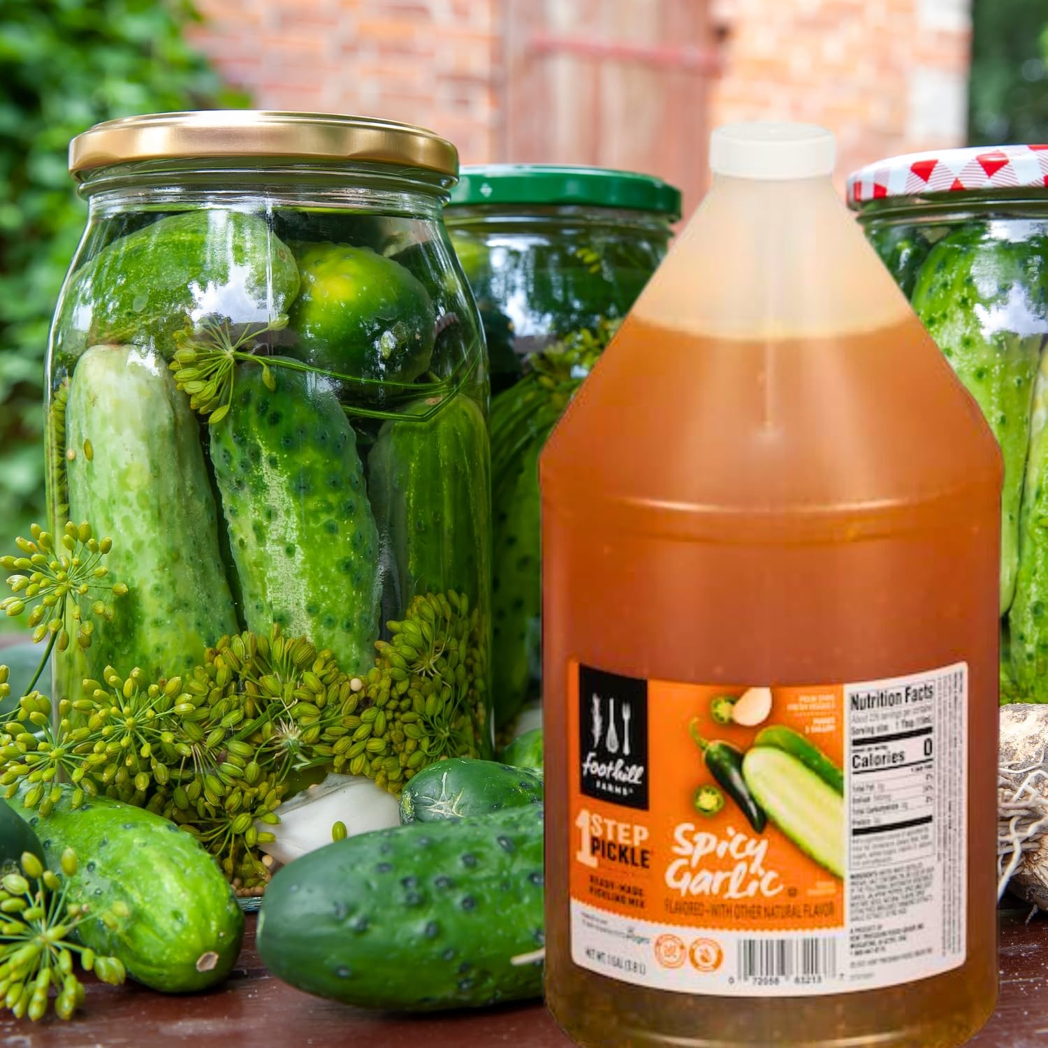 Foothill Farms – Mezcla de decapado de 1 paso, convierte tus pepinos en pepinillos increíbles, incluido por Louisiana Pantry (ajo picante)