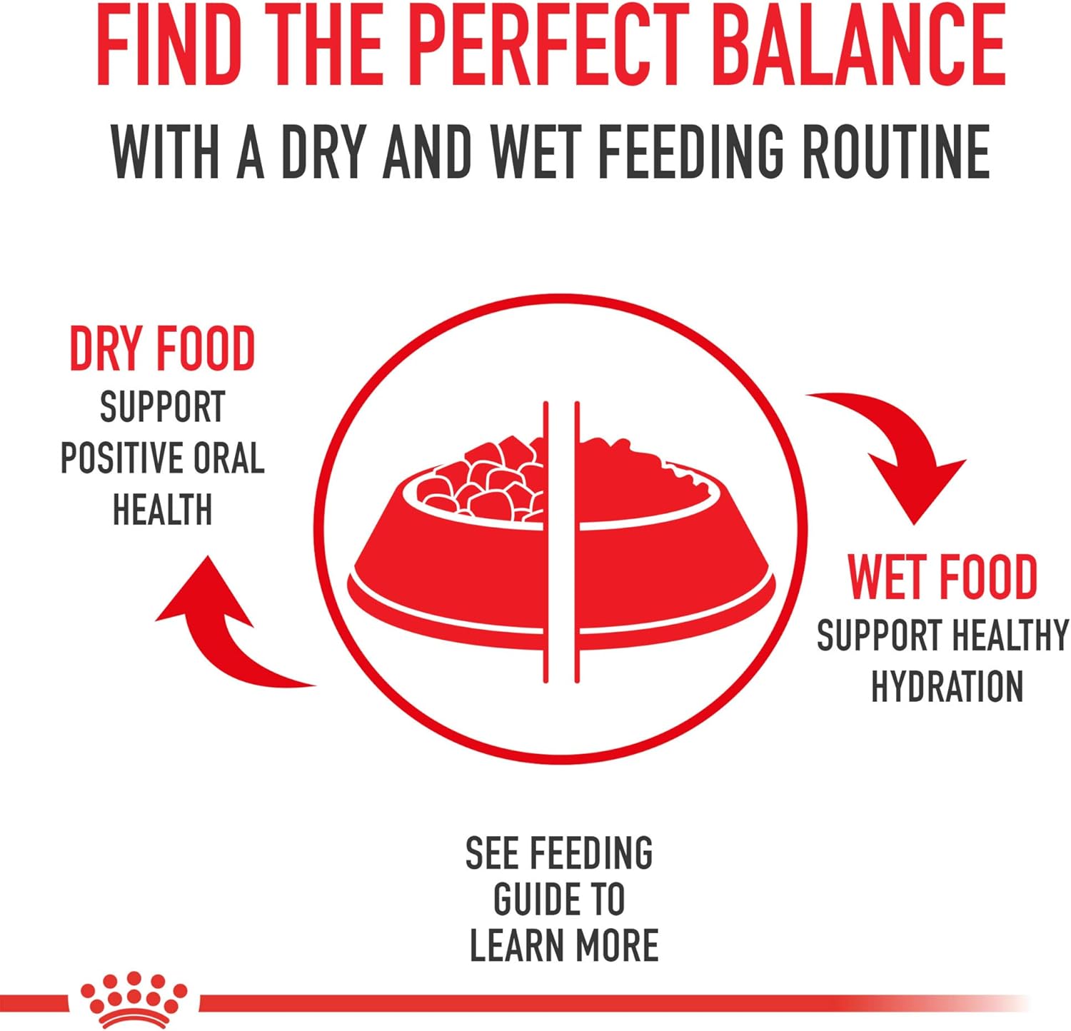 Royal Canin Maine Coon Breed – Alimento húmedo para gatos adultos, rodajas finas en salsa, 3 onzas (paquete de 4)
