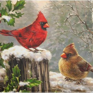 Winter Cardinals – Tapete de secado de platos para encimera de cocina, tapete de secado de platos de microfibra Merry Christmas de 18 x 24 pulgadas, Winter Cardinals – Tapete de secado de platos para encimera de cocina, tapete de secado de platos de microfibra Merry Christmas de 18 x 24 pulgadas,