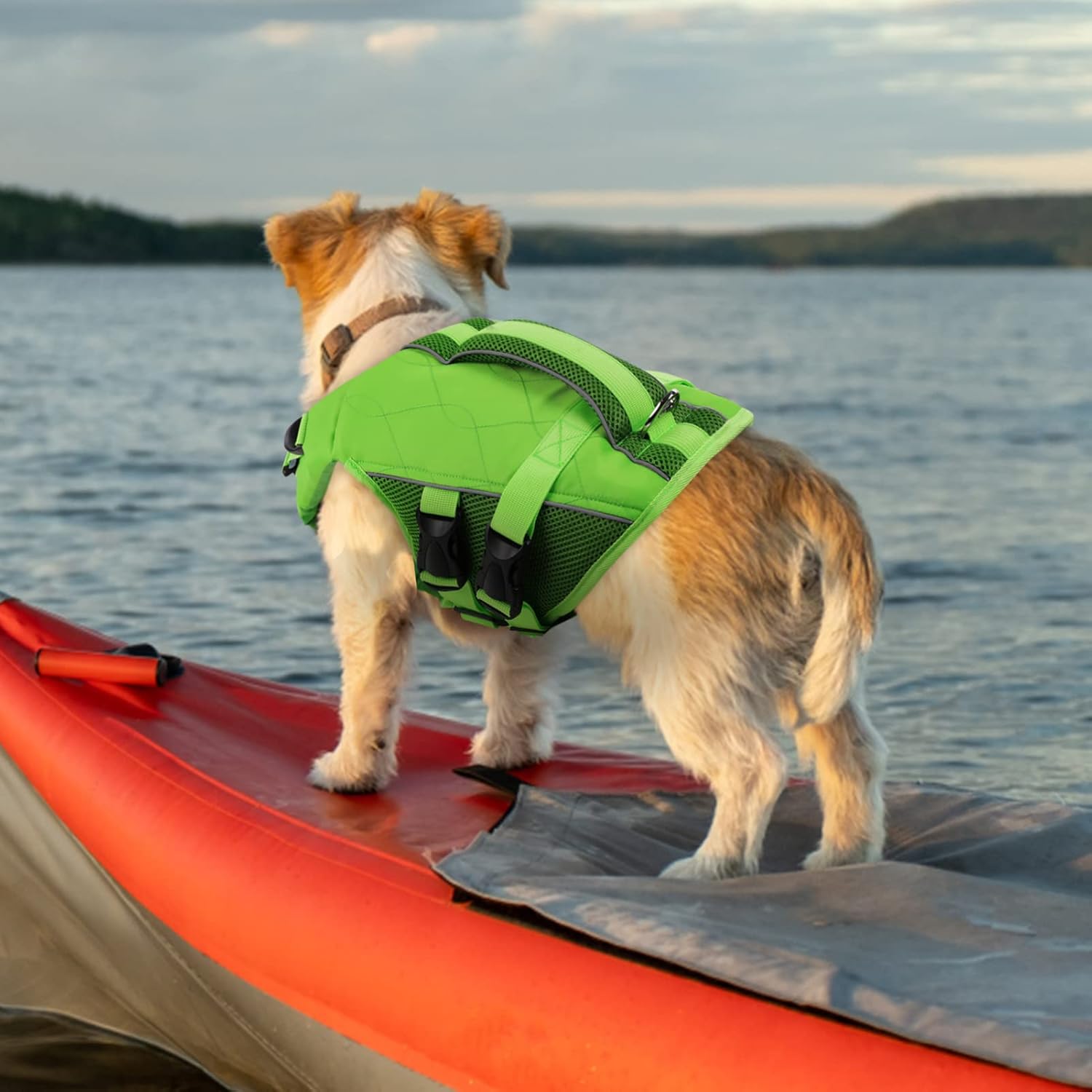 ASENKU Chaleco salvavidas para perros con asa de rescate, chaleco salvavidas para perros para nadar, navegar con alta flotación, antidesgarros,