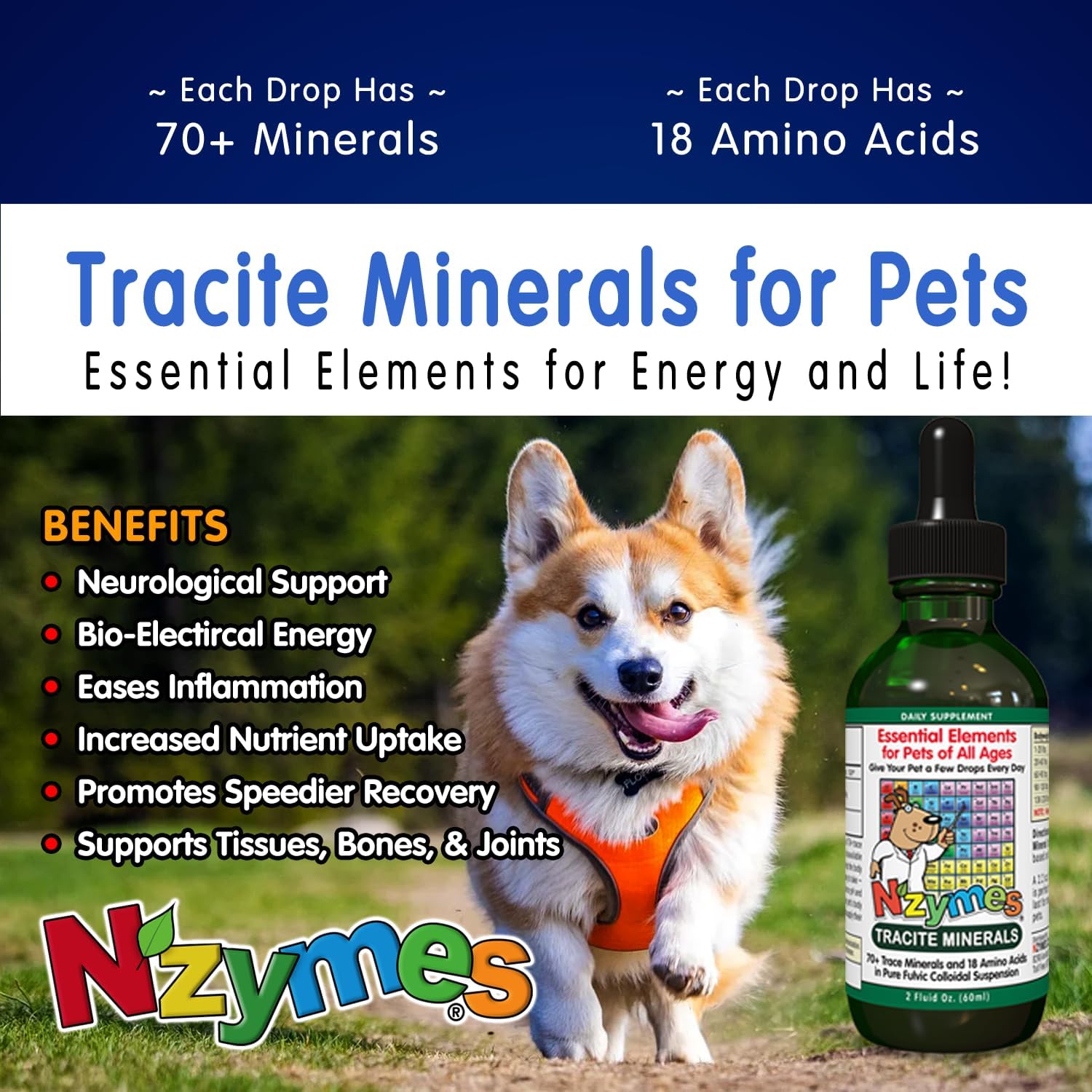 Nzymes Tracite Minerals for Pets – Ácido fúlvico, ácido húmico y gotas minerales traza a base de hierro y aminoácidos para energía ATP, deficiencia