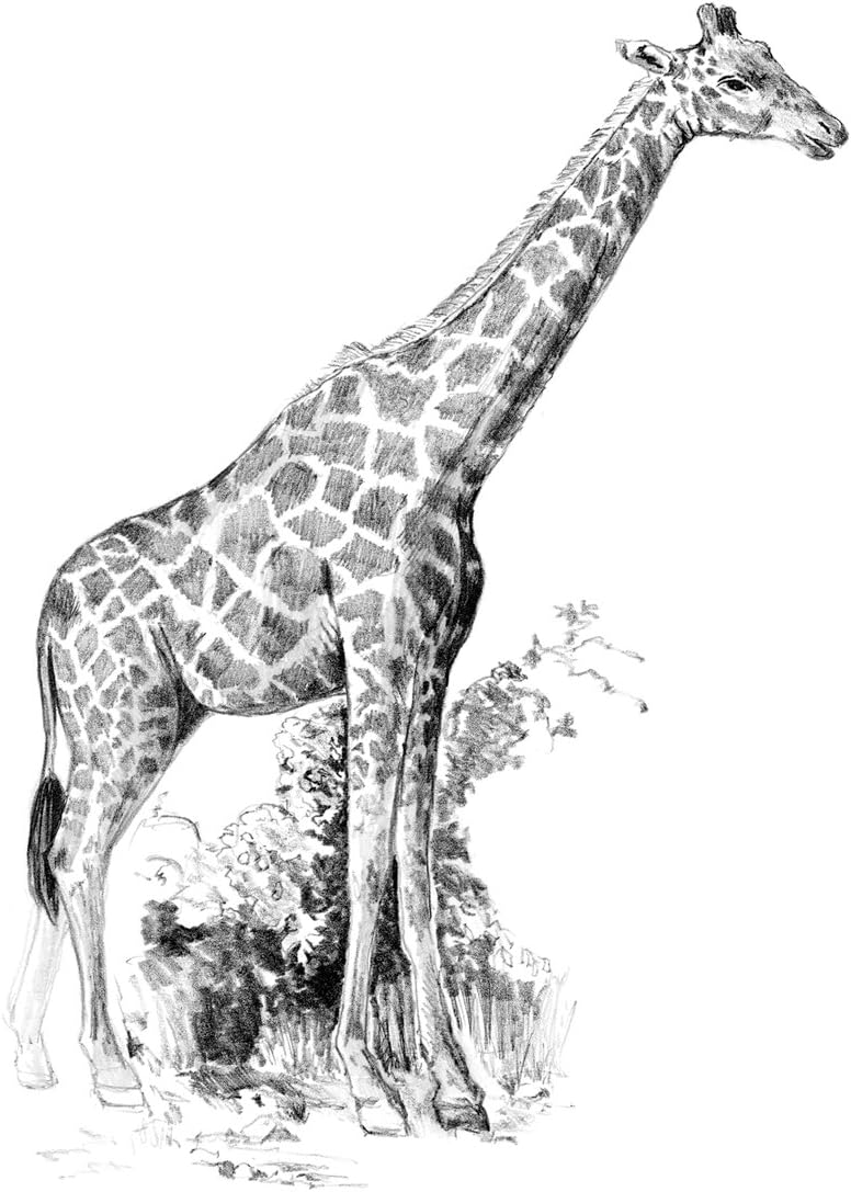 Royal Brush Sketching Made Easy Giraffe Mini Kit, 5″ x 7″
