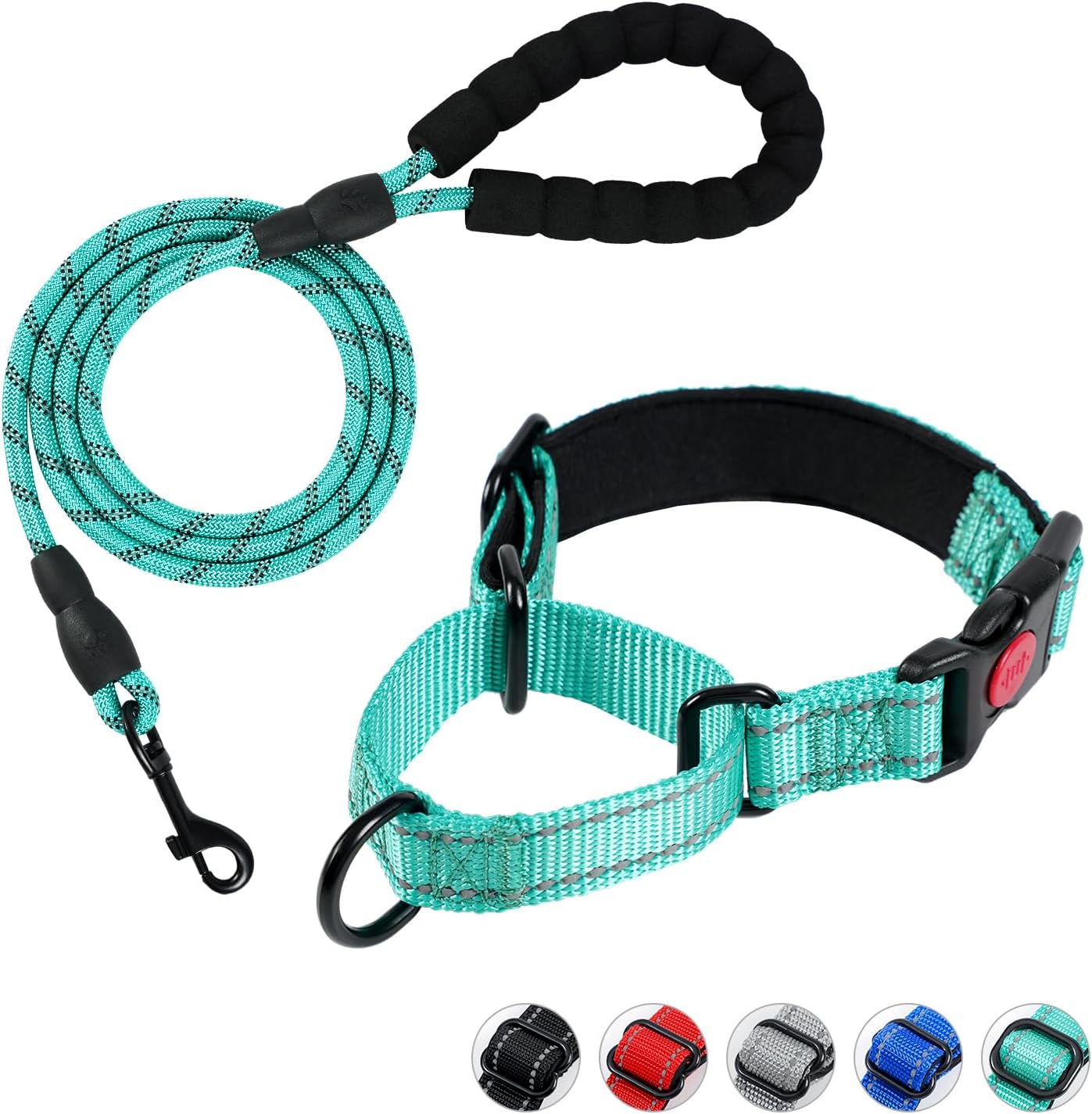 Martingale – Juego de collar y correa para perro, collar de perro con hebilla de liberación rápida, correa reflectante y collar ajustable para perro