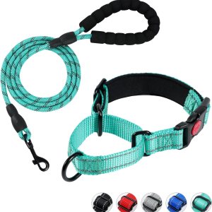 Martingale – Juego de collar y correa para perro, collar de perro con hebilla de liberación rápida, correa reflectante y collar ajustable para perro Martingale – Juego de collar y correa para perro, collar de perro con hebilla de liberación rápida, correa reflectante y collar ajustable para perro