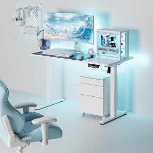 Shintenchi Escritorio eléctrico de altura ajustable, escritorio de computadora de pie de 48 x 24 pulgadas, escritorio de trabajo para oficina en Shintenchi Escritorio eléctrico de altura ajustable, escritorio de computadora de pie de 48 x 24 pulgadas, escritorio de trabajo para oficina en