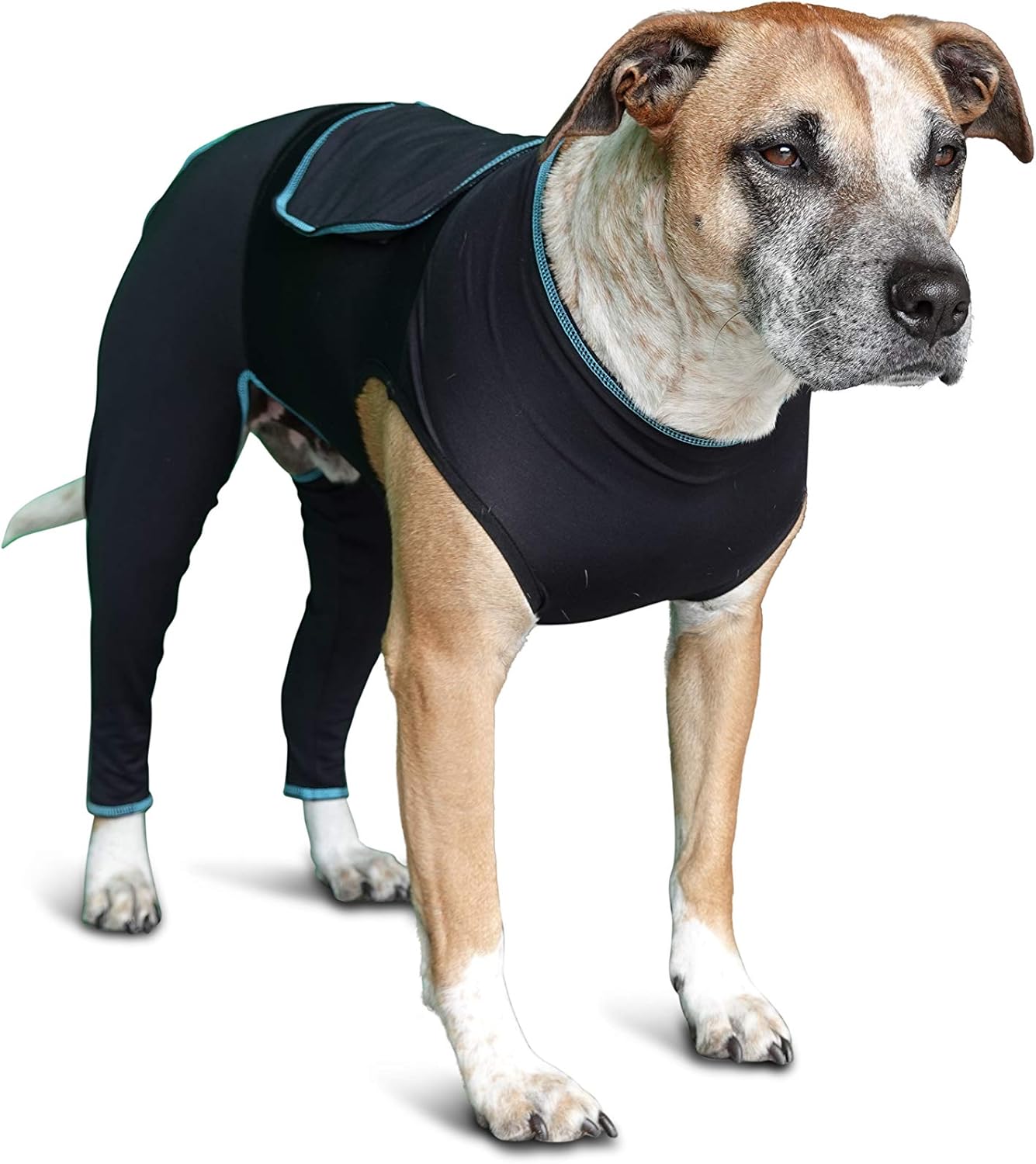 BENEFAB Traje terapéutico cómodo para perros, chaqueta ligera de infrarrojos lejanos para caninos de todas las edades, traje de compresión relajante