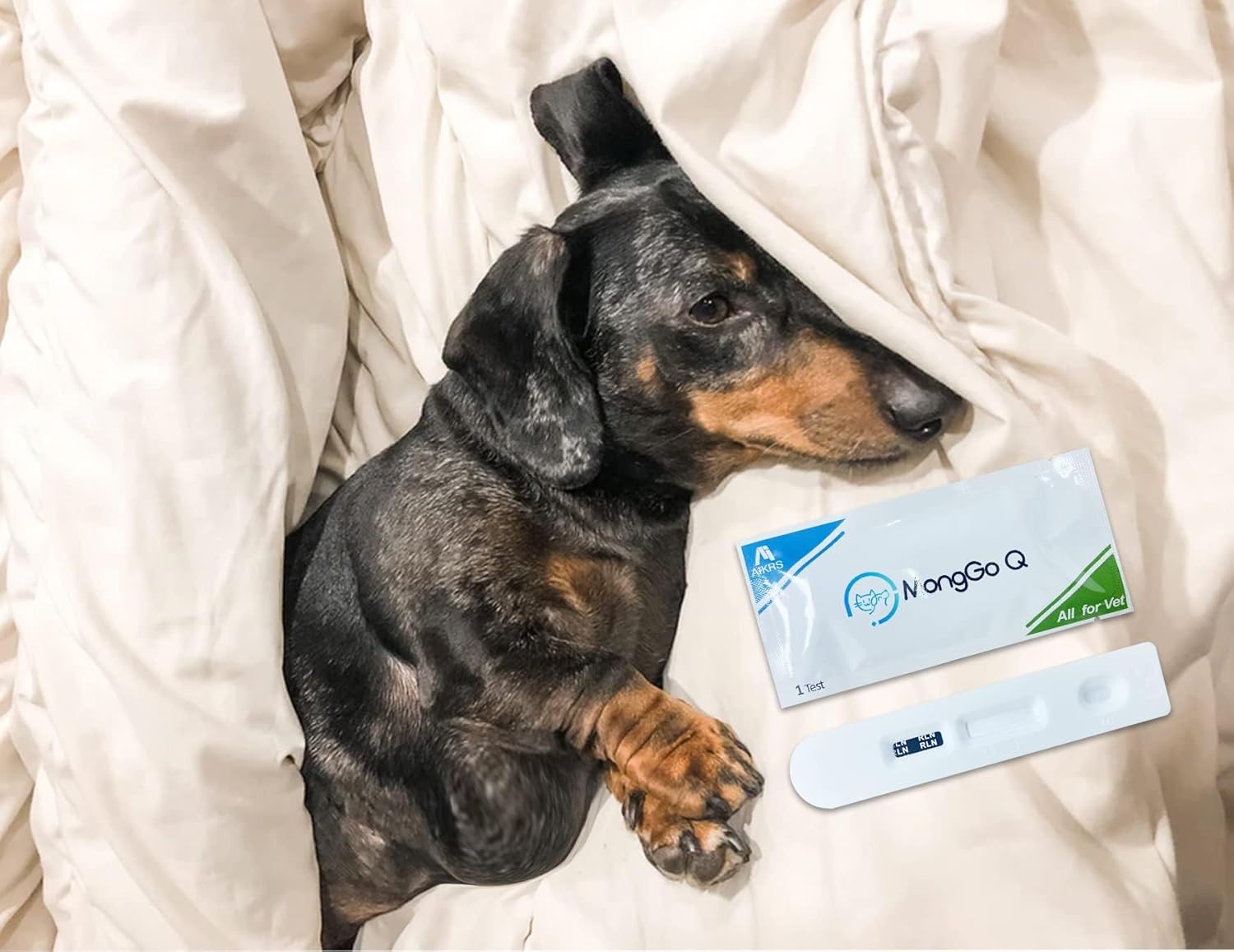 MONGGO Q Kit de prueba de embarazo para perros de 10 piezas en casa, prueba rápida de embarazo para perros, suministros de tiras de prueba para